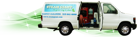 Steam Giant - Green Carpet Cleaning