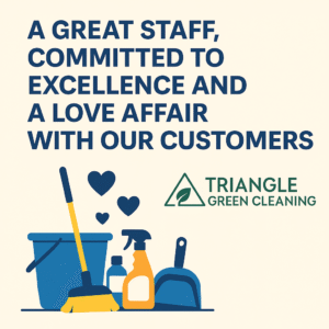 A flat-style digital illustration showing a green cleaning service concept with eco-friendly products, houseplants, and a tidy home environment.