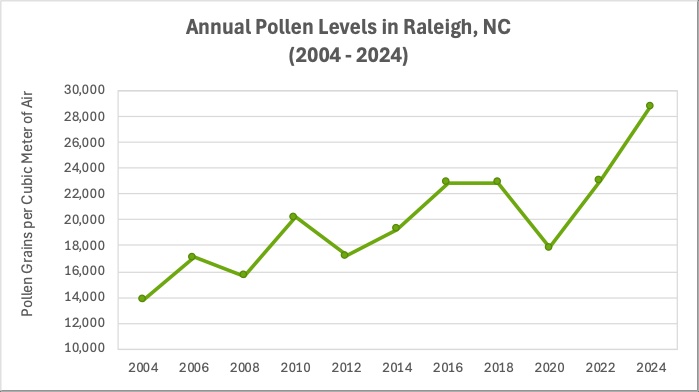 Line graph depicting annual pollen levels from 2004 to 2024 in Raleigh, NC, showing a general increase from about 14,000 to nearly 29,000 pollen grains per cubic mete