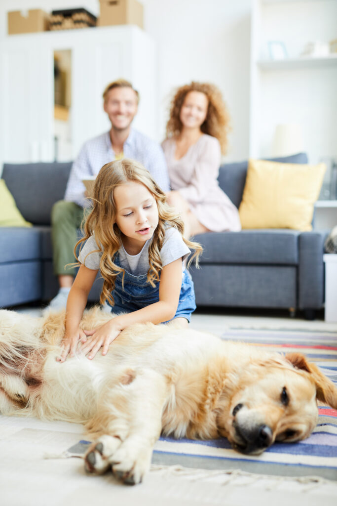 Family at home in Raleigh, NC enjoying a clean living room with their golden retriever, thanks to Enovana Green Cleaning’s recurring pet-friendly service