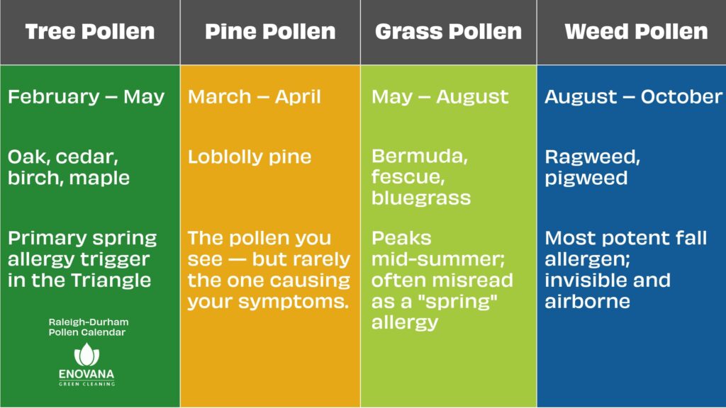 Raleigh Durham pollen calendar showing tree pine grass and weed pollen seasons — Enovana Green Cleaning Triangle NC