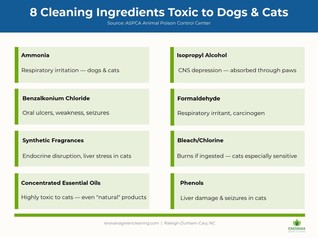 Enovana-Toxic-Cleaning-Ingredients-Pets Infographic listing 8 cleaning ingredients toxic to dogs and cats including ammonia and bleach — Enovana Green Cleaning Raleigh-Durham-Cary NC
